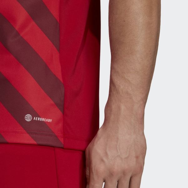 Maillot Graphique Adidas Entrada 22 Rouge