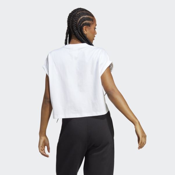 Adicolor Classics T-shirt Court Trèfle Blanc Adidas