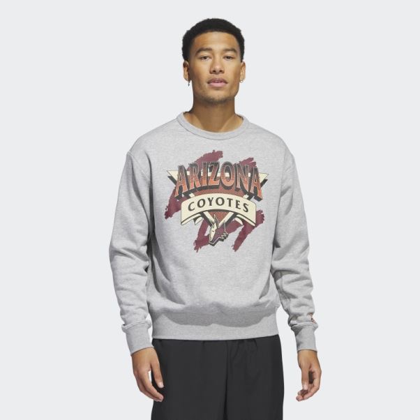 Sweat Adidas Coyotes Vintage Crew Gris Moyen