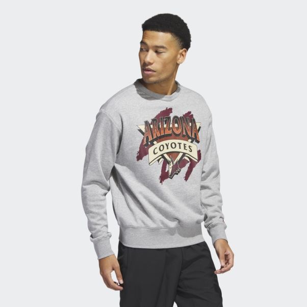Sweat Adidas Coyotes Vintage Crew Gris Moyen