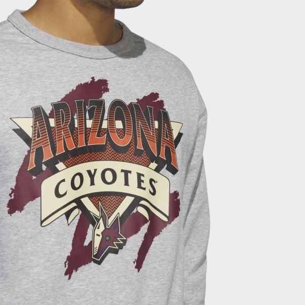 Sweat Adidas Coyotes Vintage Crew Gris Moyen