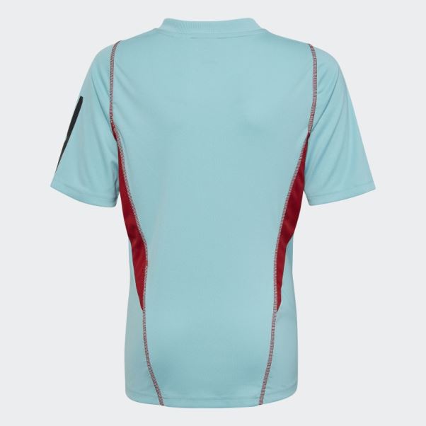 Maillot D'entrainement Adidas Mint Colombia Tiro 23