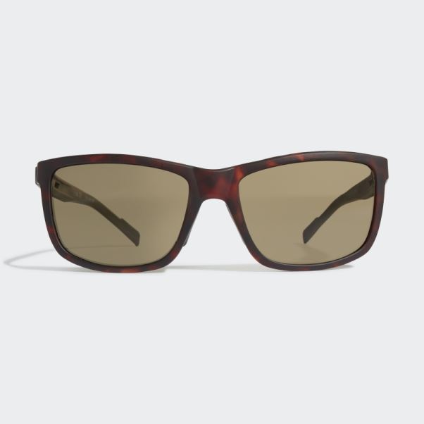 Sp0047 Lunettes De Soleil Sport Adidas Sahara Foncé