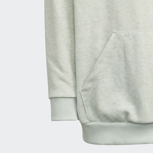 Sweat à Capuche Adidas Future Icons Badge Of Sport Vert Mel