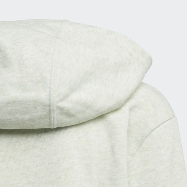 Sweat à Capuche Adidas Future Icons Badge Of Sport Vert Mel