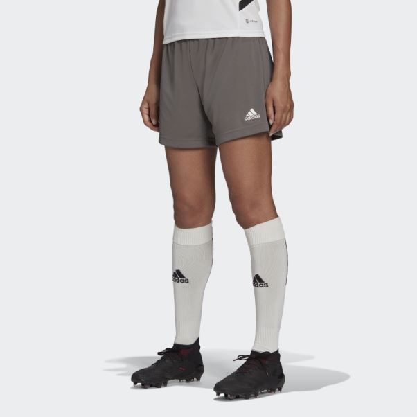 Short Adidas Entrada 22 Gris
