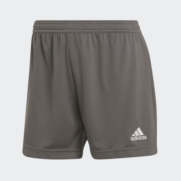 Short Adidas Entrada 22 Gris