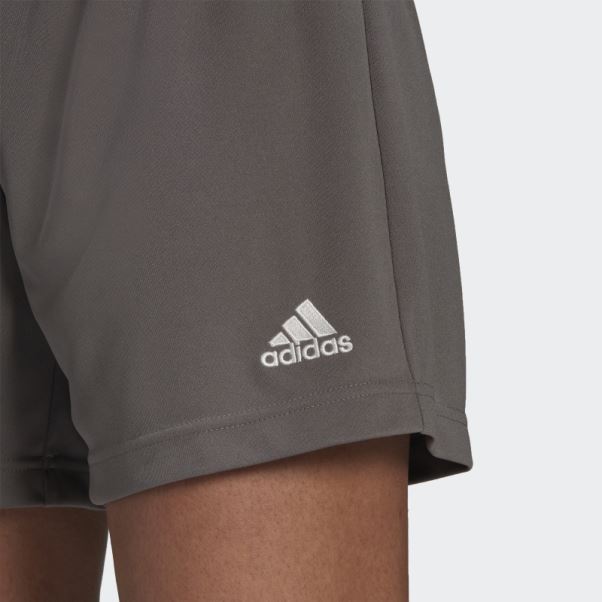 Short Adidas Entrada 22 Gris