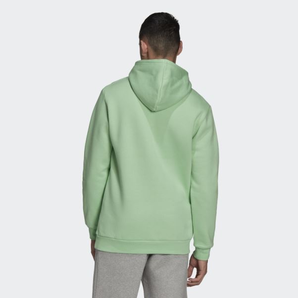 Sweat à Capuche Adicolor Essentials Trèfle Adidas Glory Menthe