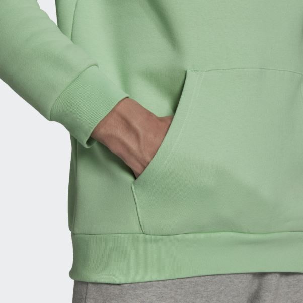Sweat à Capuche Adicolor Essentials Trèfle Adidas Glory Menthe