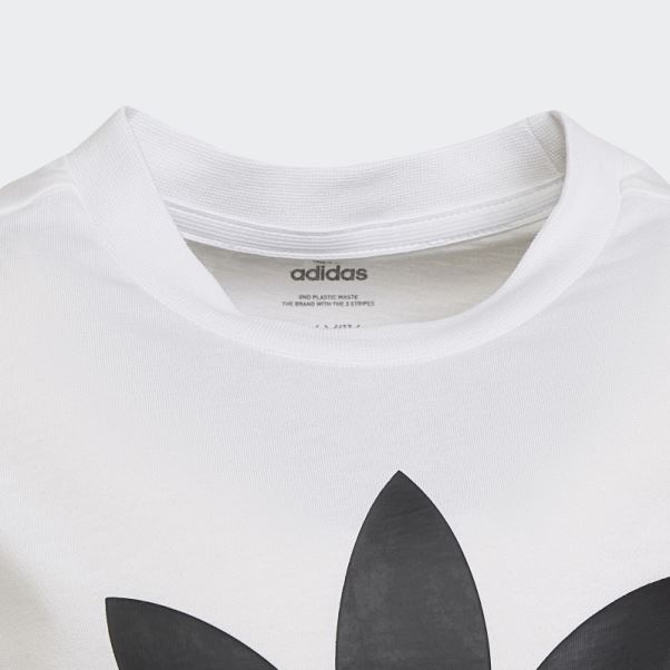 Adidas Ensemble Short Et T-shirt Adicolor Blanc