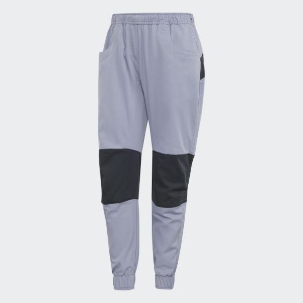 Pantalon Five Ten Felsblock Climb Violet Argent Adidas
