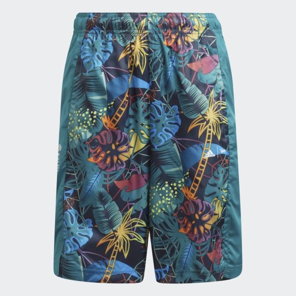 Ensemble Adidas X Disney Le Roi Lion Night Navy Hot