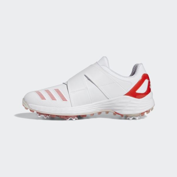 Adidas Blanche Zg21 Boa