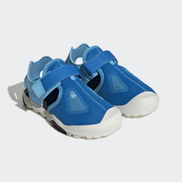 Adidas Rush Terrex Capitaine Toey 2.0 Sandales Bleu
