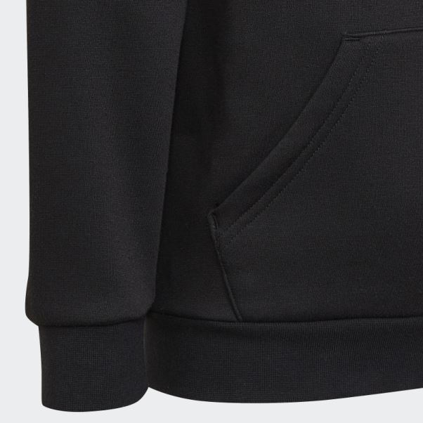 Ensemble Sweat à Capuche Adidas Adicolor Noir