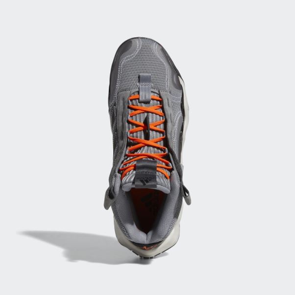 Chaussures De Basket Adidas Exhibition B Candace Parker Mid Grises