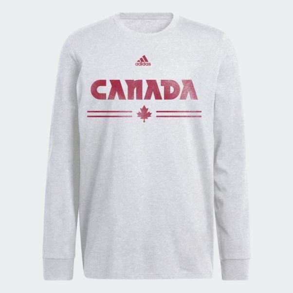Adidas Blanc Rétro Gris