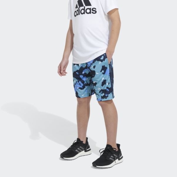 Short Camo Bleu Adidas Aop