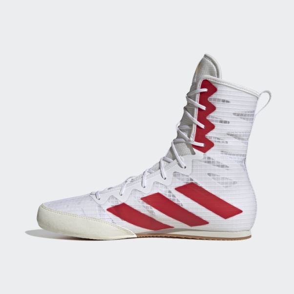 Chaussure Adidas Box Hog 4 Blanche