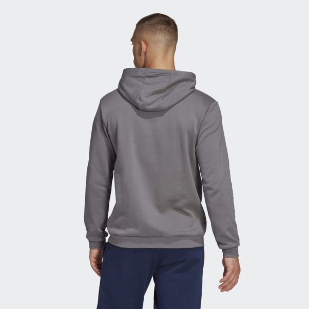 Sweat à Capuche Entrada 22 Adidas Gris
