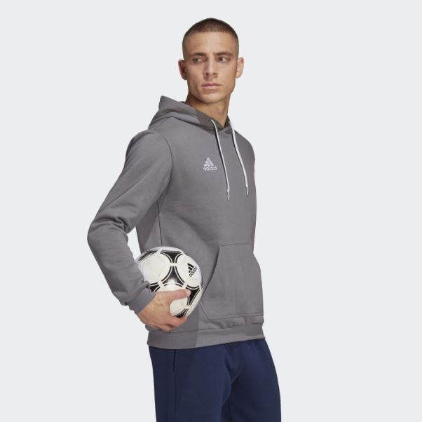 Sweat à Capuche Entrada 22 Adidas Gris