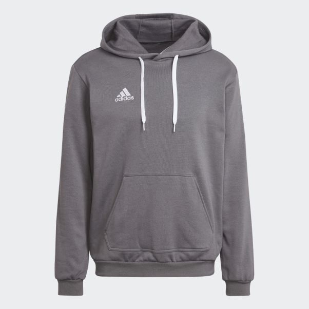 Sweat à Capuche Entrada 22 Adidas Gris
