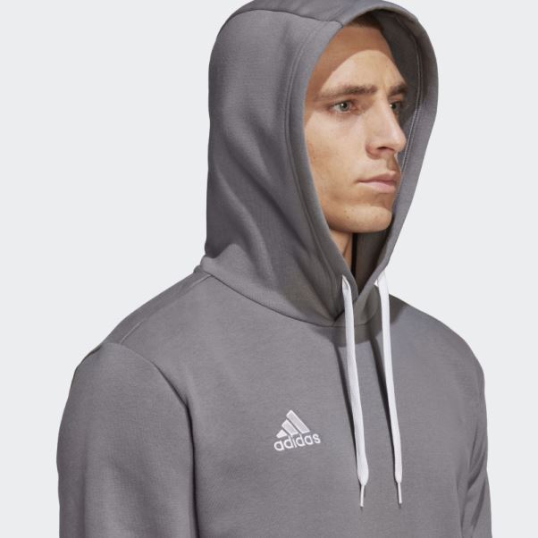 Sweat à Capuche Entrada 22 Adidas Gris