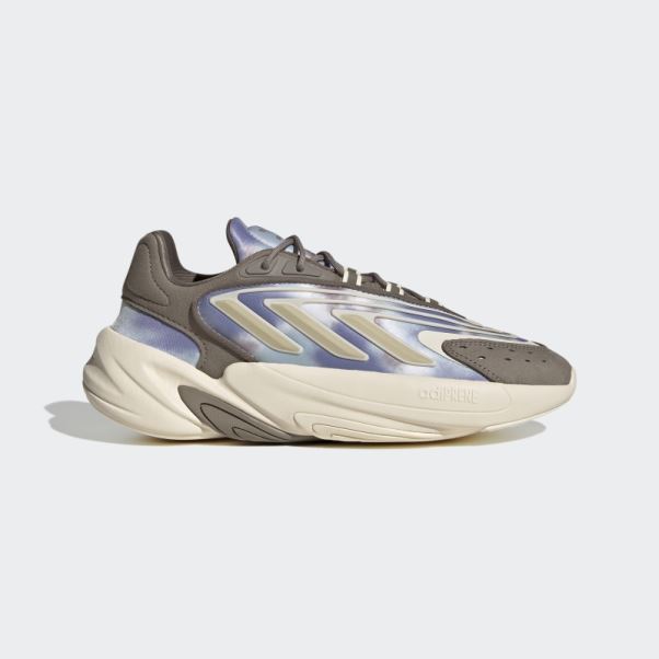 Chaussures Adidas Ozelia Marron Simples
