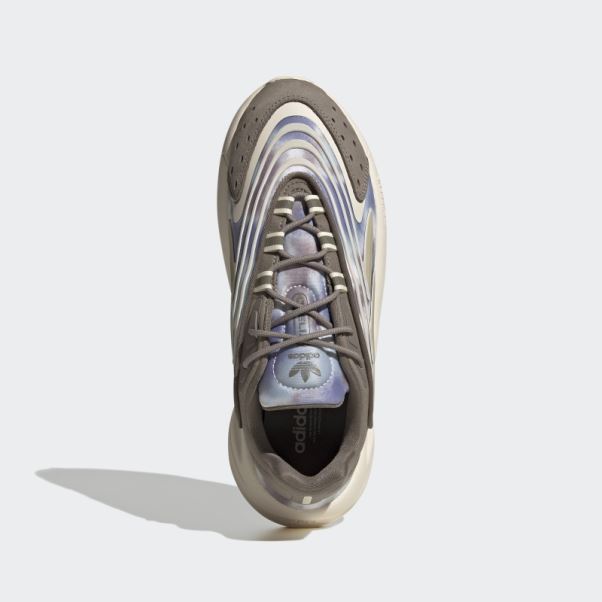 Chaussures Adidas Ozelia Marron Simples