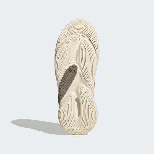 Chaussures Adidas Ozelia Marron Simples