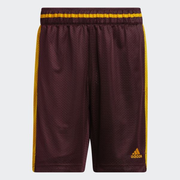 Short De Swingman Sun Devils Bordeaux Adidas
