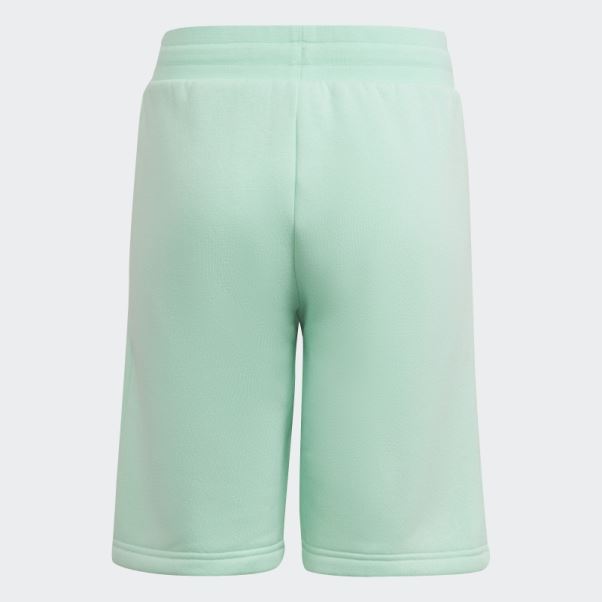 Short Adicolor Vert Adidas