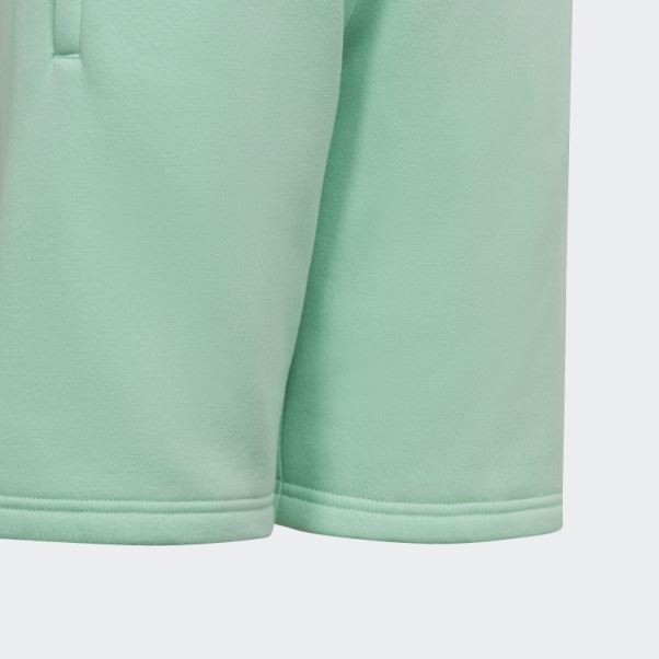 Short Adicolor Vert Adidas