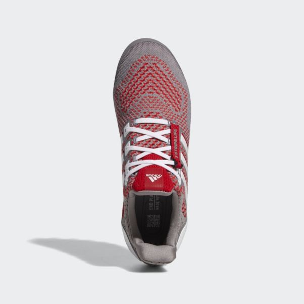 Chaussure Ultraboost Adidas Gris