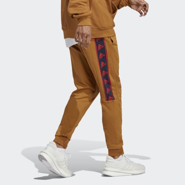 Pantalon Adidas Brandlove Bronze