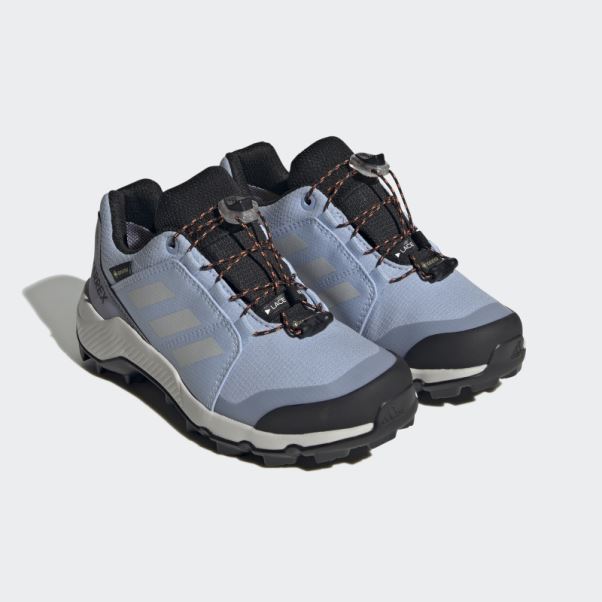 Bleu Aube Adidas Terrex Gore-tex Chaussures De Randonnée