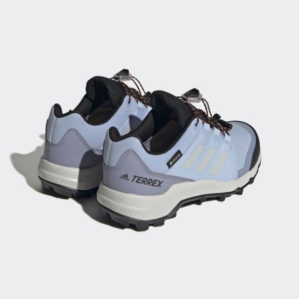 Bleu Aube Adidas Terrex Gore-tex Chaussures De Randonnée