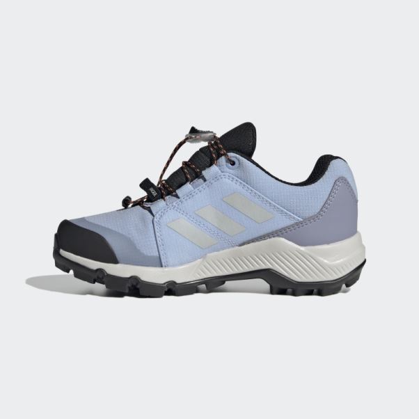 Bleu Aube Adidas Terrex Gore-tex Chaussures De Randonnée