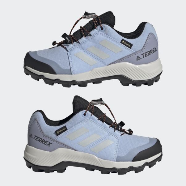 Bleu Aube Adidas Terrex Gore-tex Chaussures De Randonnée