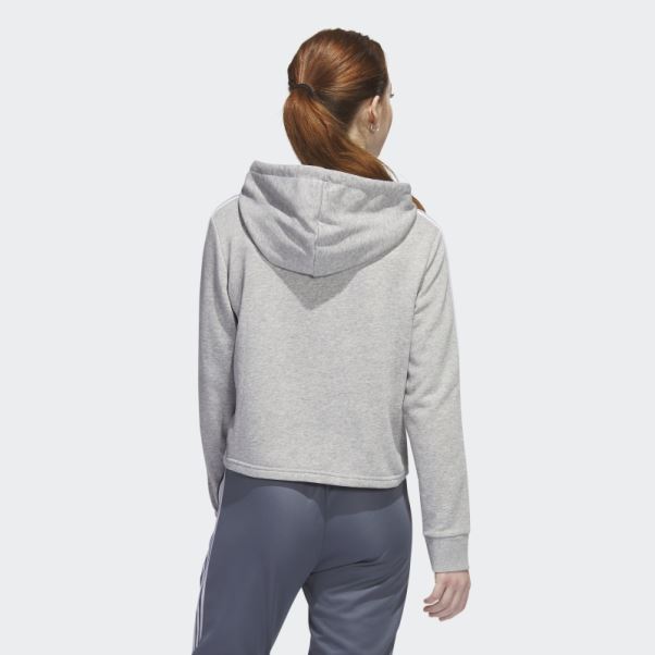 Colombie Sweat à Capuche Court Adidas Gris