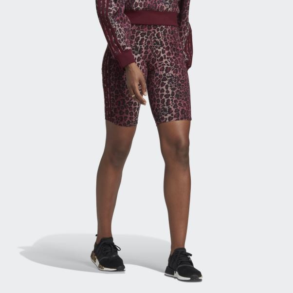 Collants Cyclistes Adidas Bordeaux