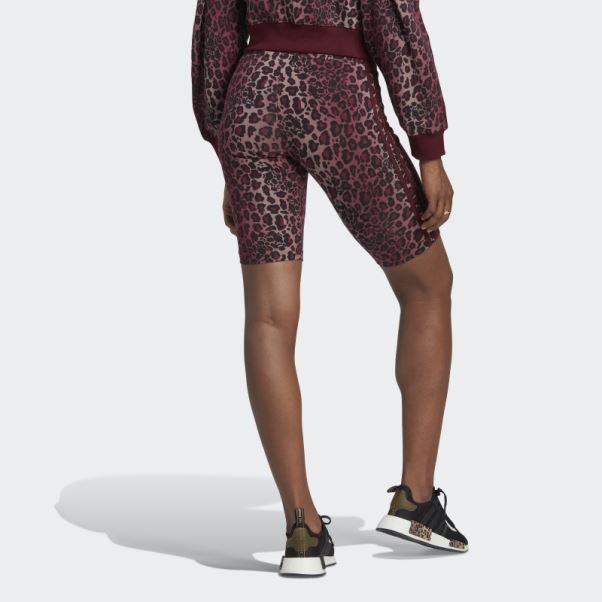Collants Cyclistes Adidas Bordeaux