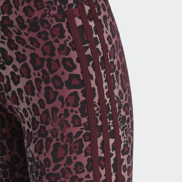 Collants Cyclistes Adidas Bordeaux