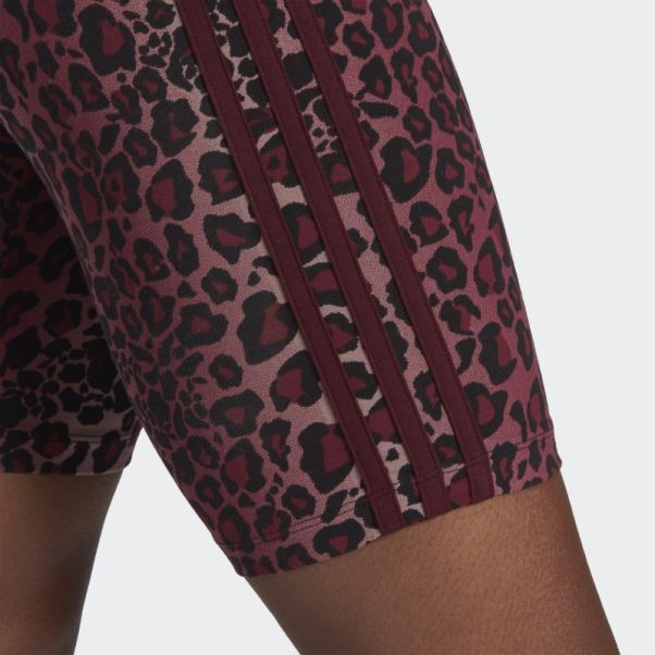 Collants Cyclistes Adidas Bordeaux
