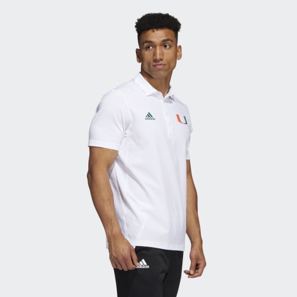 Polo Adidas Stadium Coachs Vert Foncé