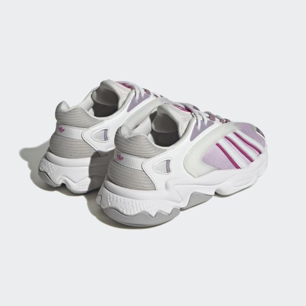 Adidas Oztral Chaussures Fuchsia