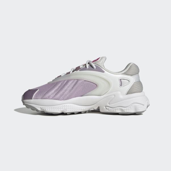 Adidas Oztral Chaussures Fuchsia