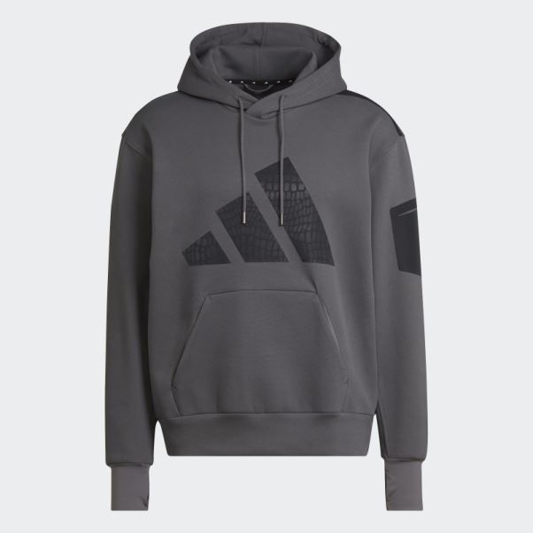 Sweat à Capuche D'entraînement Adidas Best Of Gris