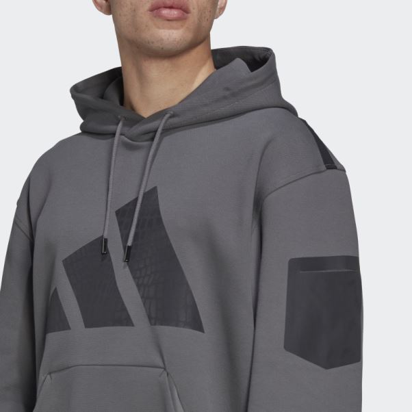 Sweat à Capuche D'entraînement Adidas Best Of Gris